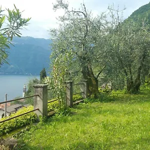  Ferienhaus Gli Ulivi Di